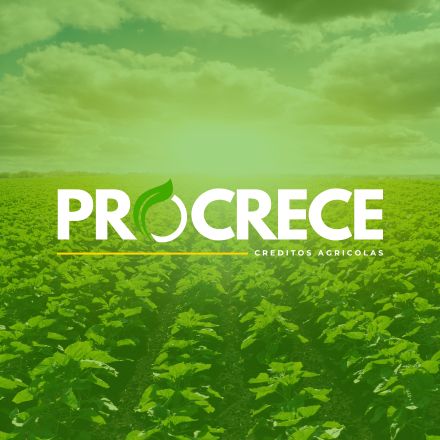Nosotros ProCrece